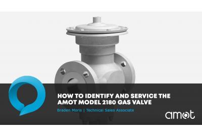 Model 2180 Gas Valve